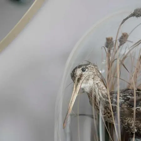 Pembroke Hall Πανσιόν