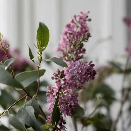 Pensionat Pembroke Hall 3*