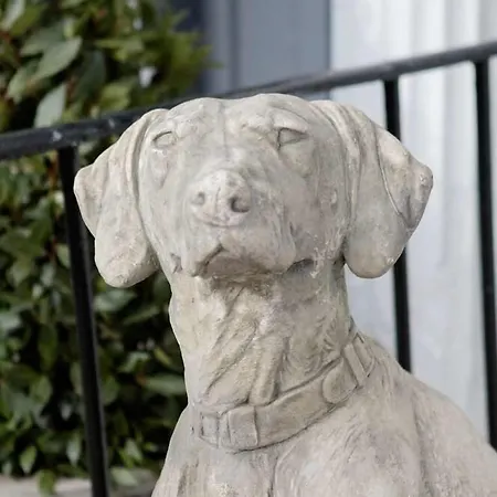 Pembroke Hall Pensjonat Dublin