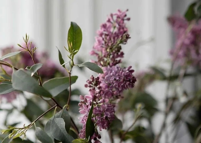 Casa de hóspedes Pembroke Hall 3*