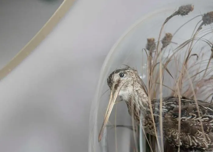 Pembroke Hall Guest house